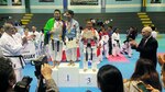 Panameños suman 31 medallas en Perú