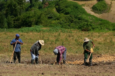 La expansión de la frontera agrícola presiona suelos y bosques