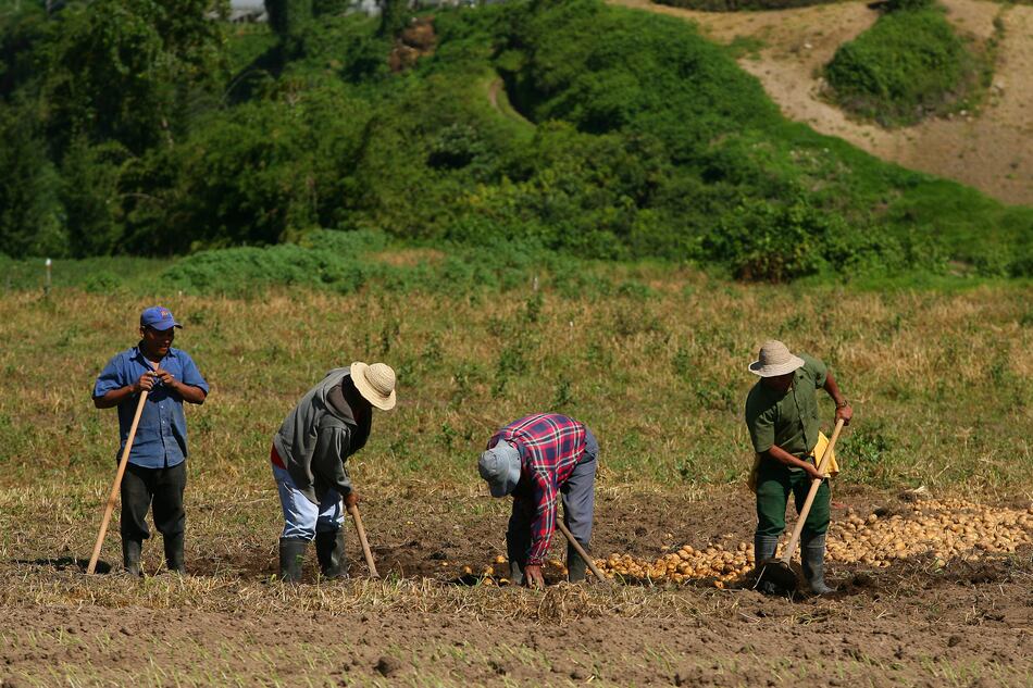 La expansión de la frontera agrícola presiona suelos y bosques