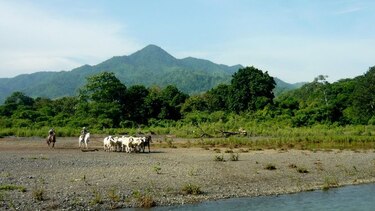 Polémico proyecto de riego de Tonosí, con los días contados