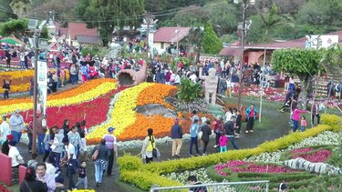 157 mil 480 personas visitaron la Feria de las Flores y el Café