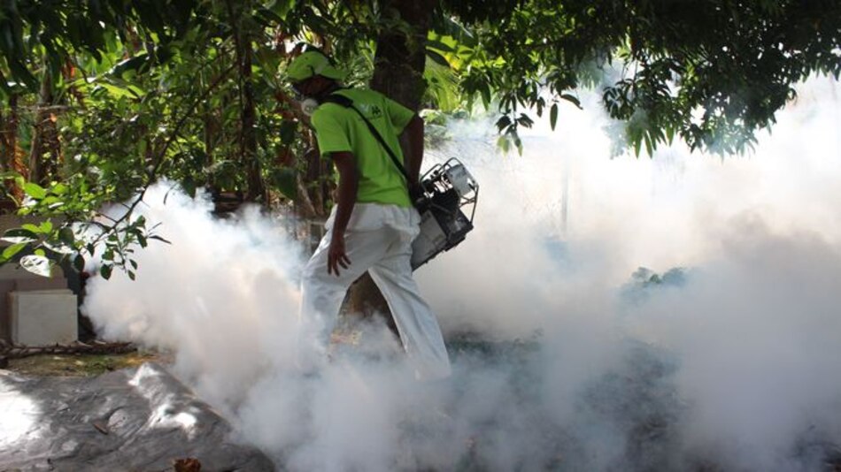 Secuelas del zika, bajo la lupa