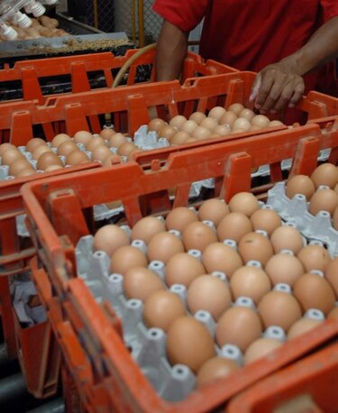 Acodeco determina que productoras de huevo incumplen normas