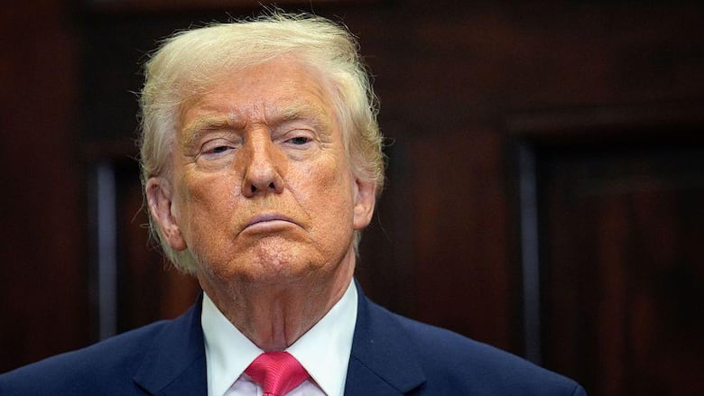 ‘No es propio de un presidente atacar a otros estadounidenses’: la reacción de la comunidad somalí de Minnesota después de que Trump los llamara ‘basura’