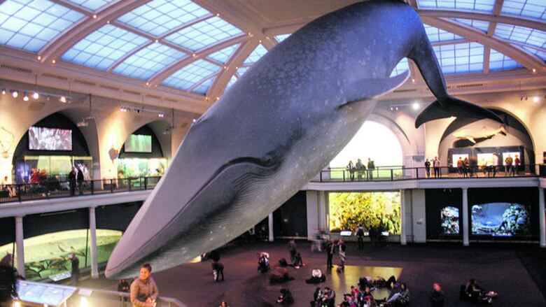 La esencia de la historia natural