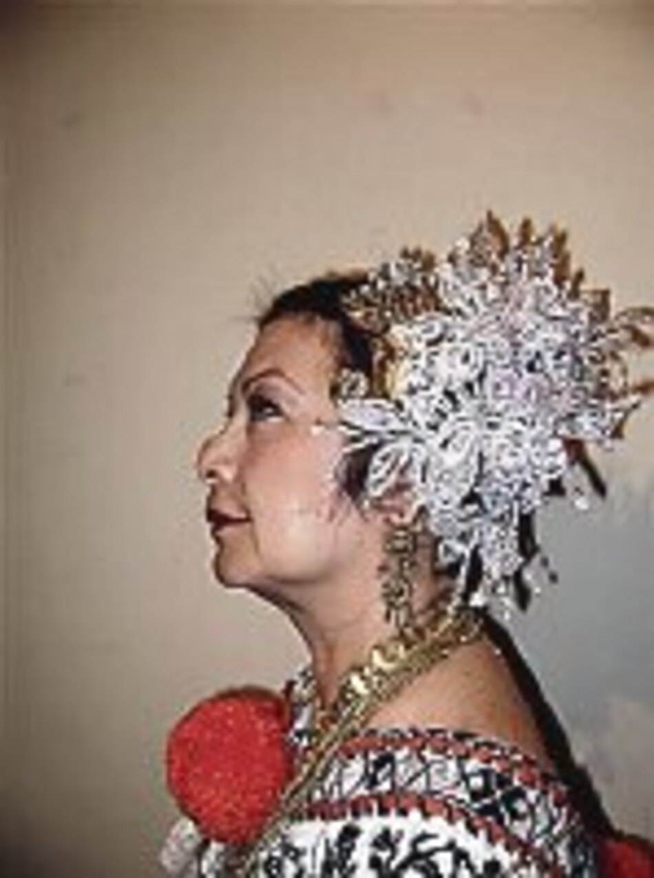 La pollera y su conservación