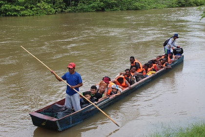 Panamá reporta este 2024 el ingreso de 186,969 migrantes irregulares por la selva de Darién