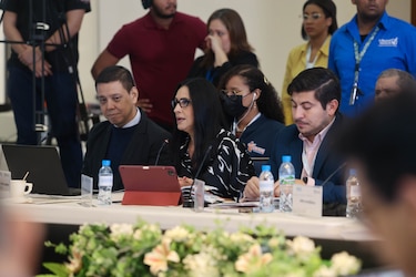 Vicepresidentes y subsecretarios de partidos políticos quedarían sin fuero penal electoral