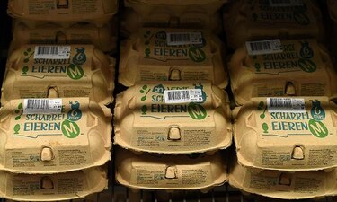 Allanamientos en curso en Holanda por huevos contaminados