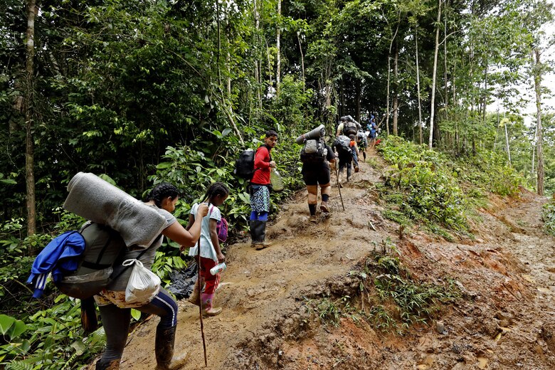 El paso de los migrantes irregulares por la selva de Darién tiene un costo ambiental de $12 millones