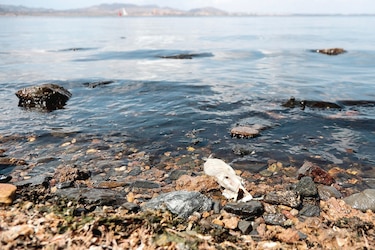 Acaban con el Mar Menor en España