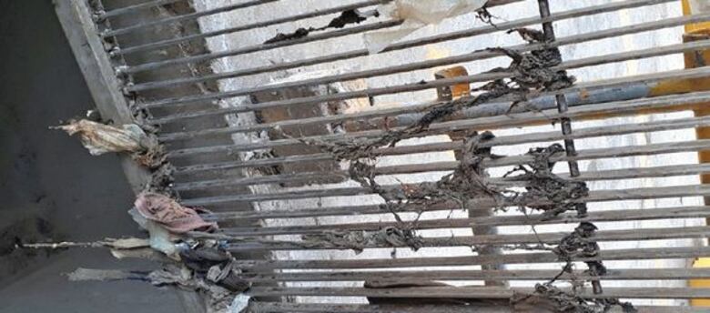 Basura afecta saneamiento de la bahía y la ciudad de Panamá