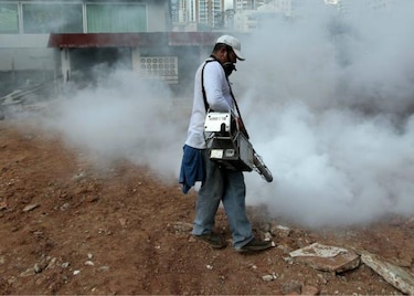Reportan más de 200 casos con virus chikungunya en Venezuela