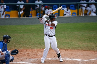 Técnico holandés mira hacia la final