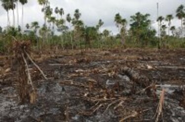Tortí, zona de conflicto por tierras