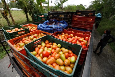 Ministro Valderrama dice que no se justifica alza de precios en productos