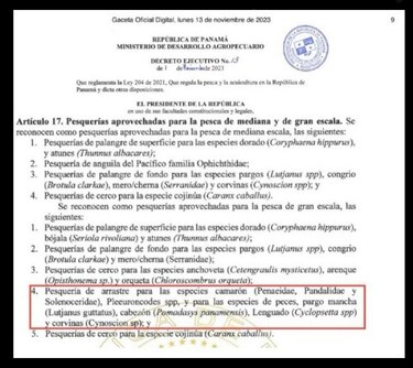 Denuncian que reglamento de ley de pesca introduce un nuevo tipo de pesca peligroso para el ecosistema marino