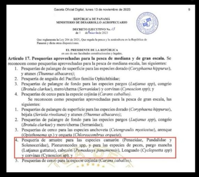Denuncian que reglamento de ley de pesca introduce un nuevo tipo de pesca peligroso para el ecosistema marino