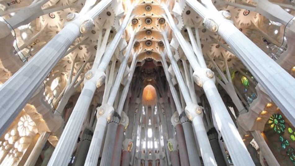 Arte de Gaudí se hospedará en el Biomuseo durante la JMJ