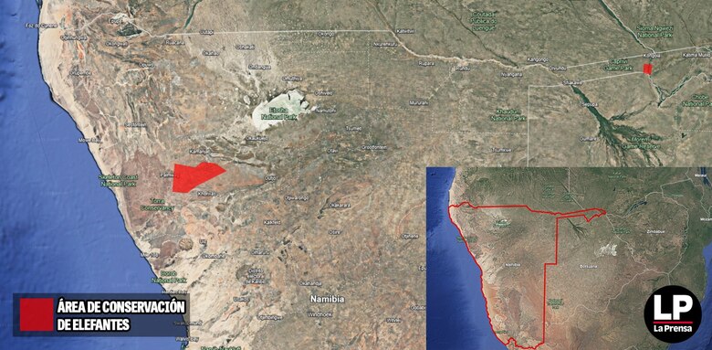 El panameño Gabriel Ledezma lidera proyecto para la conservación de elefantes en Namibia