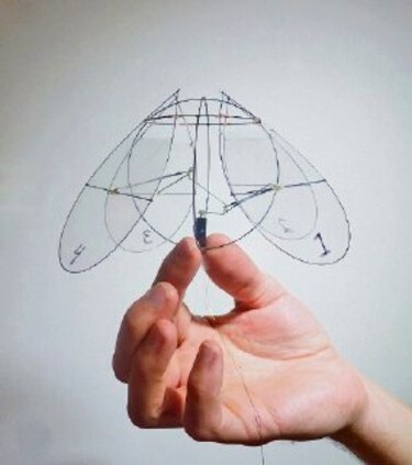 Desarrollan prototipo de medusa voladora
