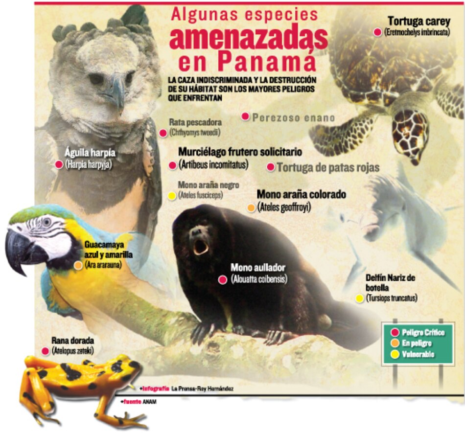 La fauna de la Tierra se muere
