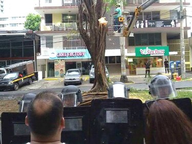 Antimotines en vía Argentina ante protesta vecinal por poda de árboles