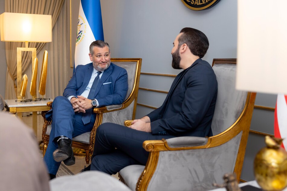 Bukele y el senador republicano Ted Cruz hablan sobre ‘tácticas’ para combatir a las maras