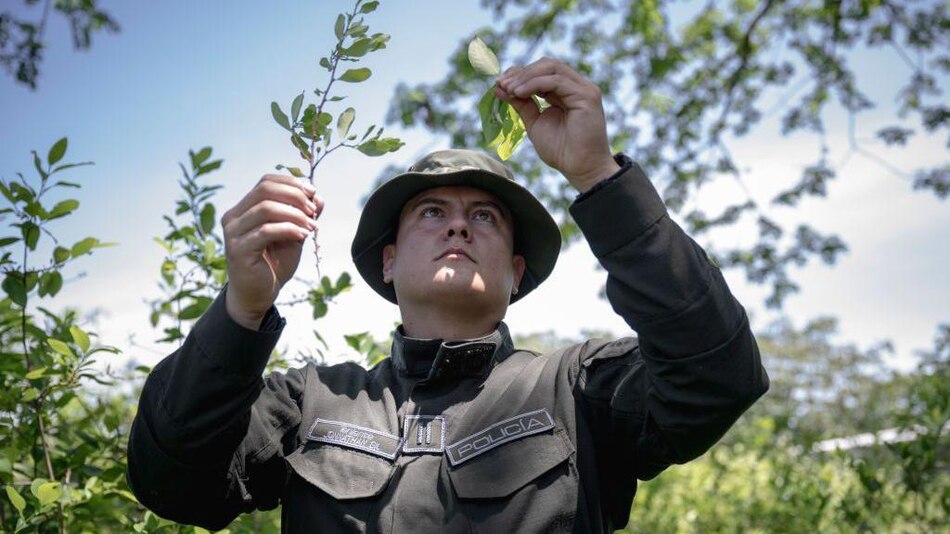 Qué significa que Estados Unidos retire a Colombia la certificación en la lucha contra el narcotráfico