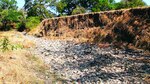 Panamá no pasa la prueba en materia de agricultura