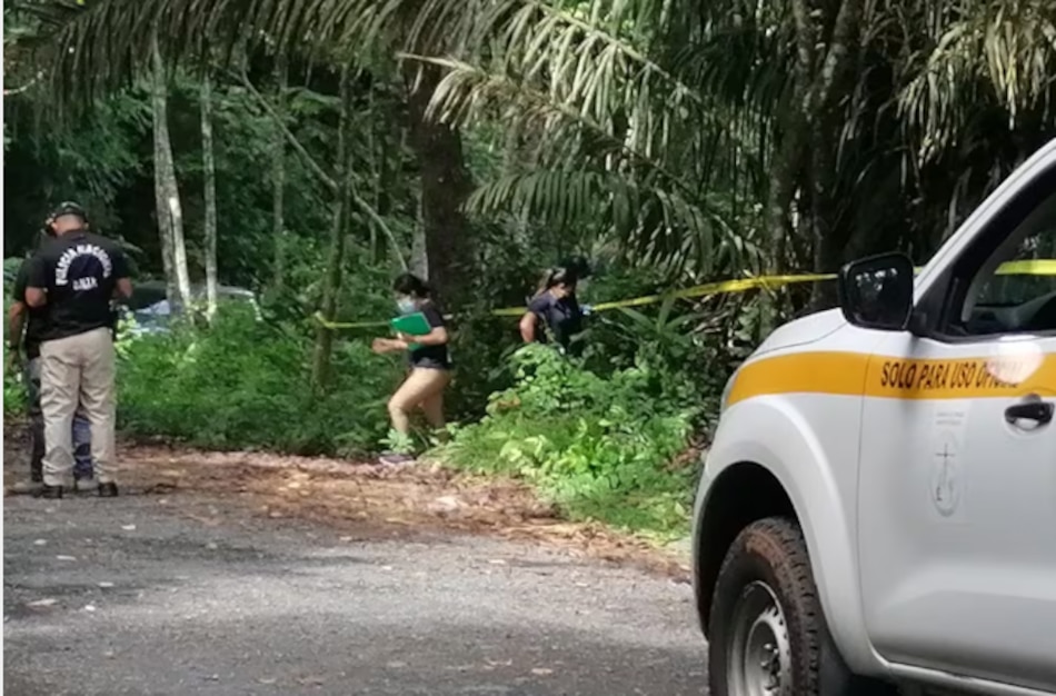 Confirman identidad de restos hallados en fosa clandestina en Bocas: corresponden a joven desaparecido
