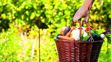 Alimentos, de vuelta a sus orígenes
