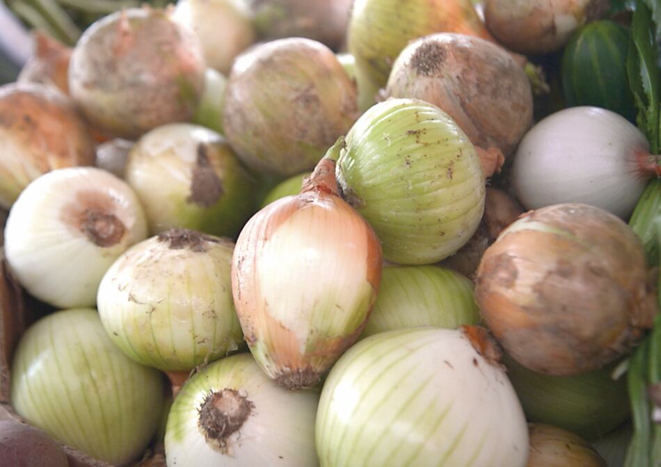 Multan a comerciantes por vender cebolla cara