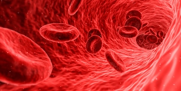 FDA prevé aprobar la primera terapia genética para tratar la anemia de células falciformes grave