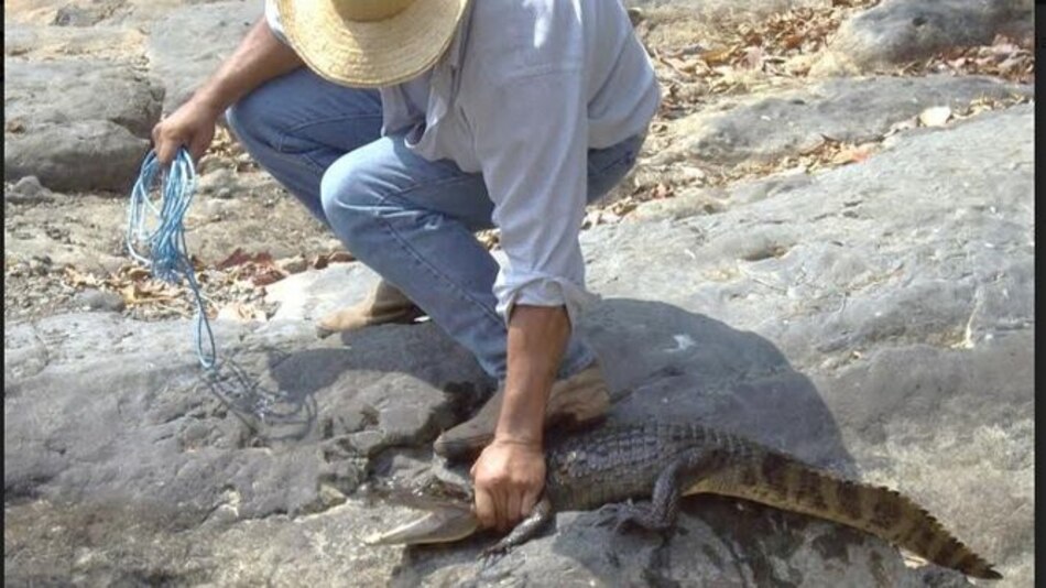 Hábitat de especies en peligro de extinción se quedan sin agua