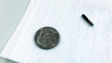 Implantan microchips en los empleados