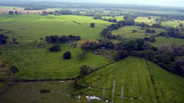Realizan monitoreo de roedores en El Valle de Tonosí