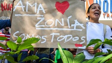 La vegetación de la Amazonía, un sistema único acorralado por las llamas