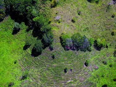 Empresas de Francia, EU y Colombia ofertan por petróleo en Guatemala