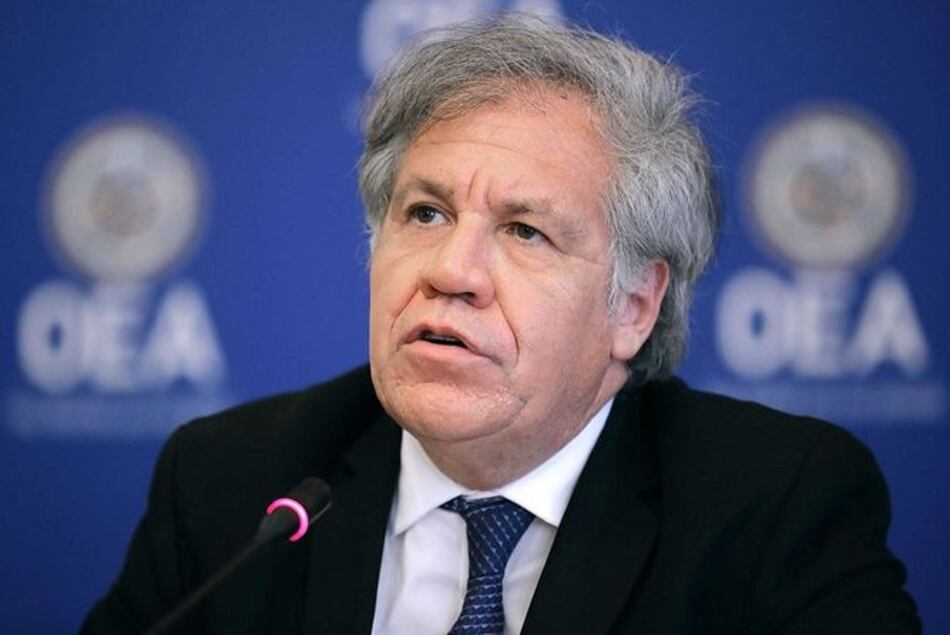 Nicaragua califica de 'ilegal' posible aplicación de Carta Democrática de la OEA