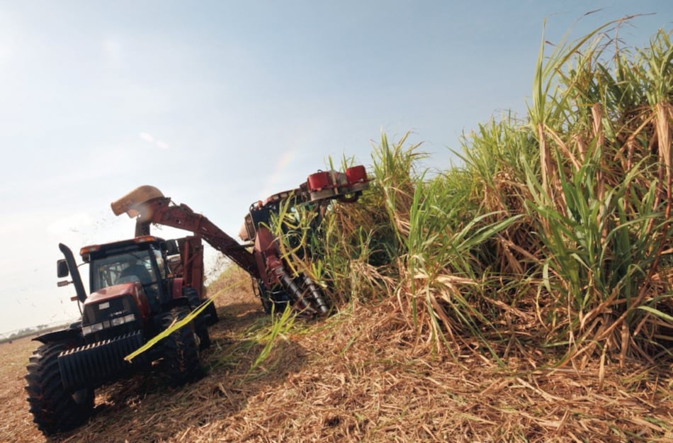 Cuba flexibiliza norma laboral para la agricultura