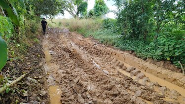 Lluvias persistentes podrían retrasar la temporada seca hasta enero 2025