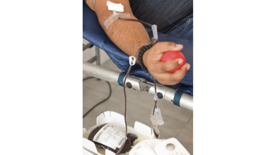 Dona Vida suspende colecta de sangre en cuarentena