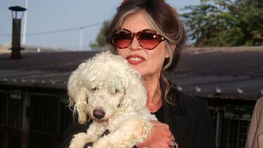 Muere a los 91 años Brigitte Bardot, el ícono del cine que abandonó su carrera para dedicarse a los derechos de los animales