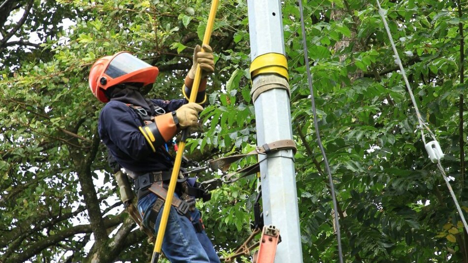 Trabajos de mantenimiento en la red eléctrica del 8 al 14 de septiembre 2025