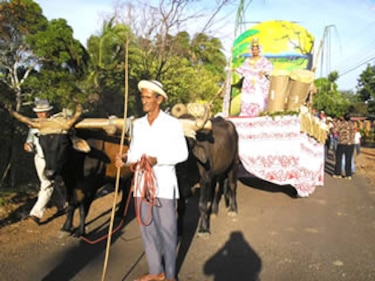 Capellanía celebra tradicional desfile de carretas