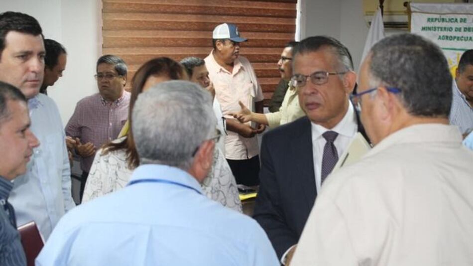 MIDA afirma que no se importará arroz en los próximos meses