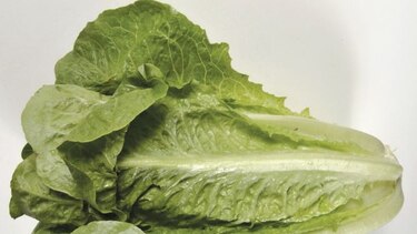 La crisis de la lechuga romana en EU