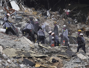 Perros de terapia brindan calma en medio del trauma del derrumbe de edificio en la Florida