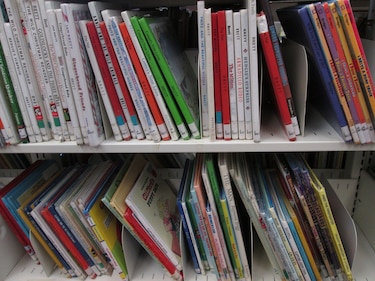 Reflexiones sobre la literatura infantil y la cultura